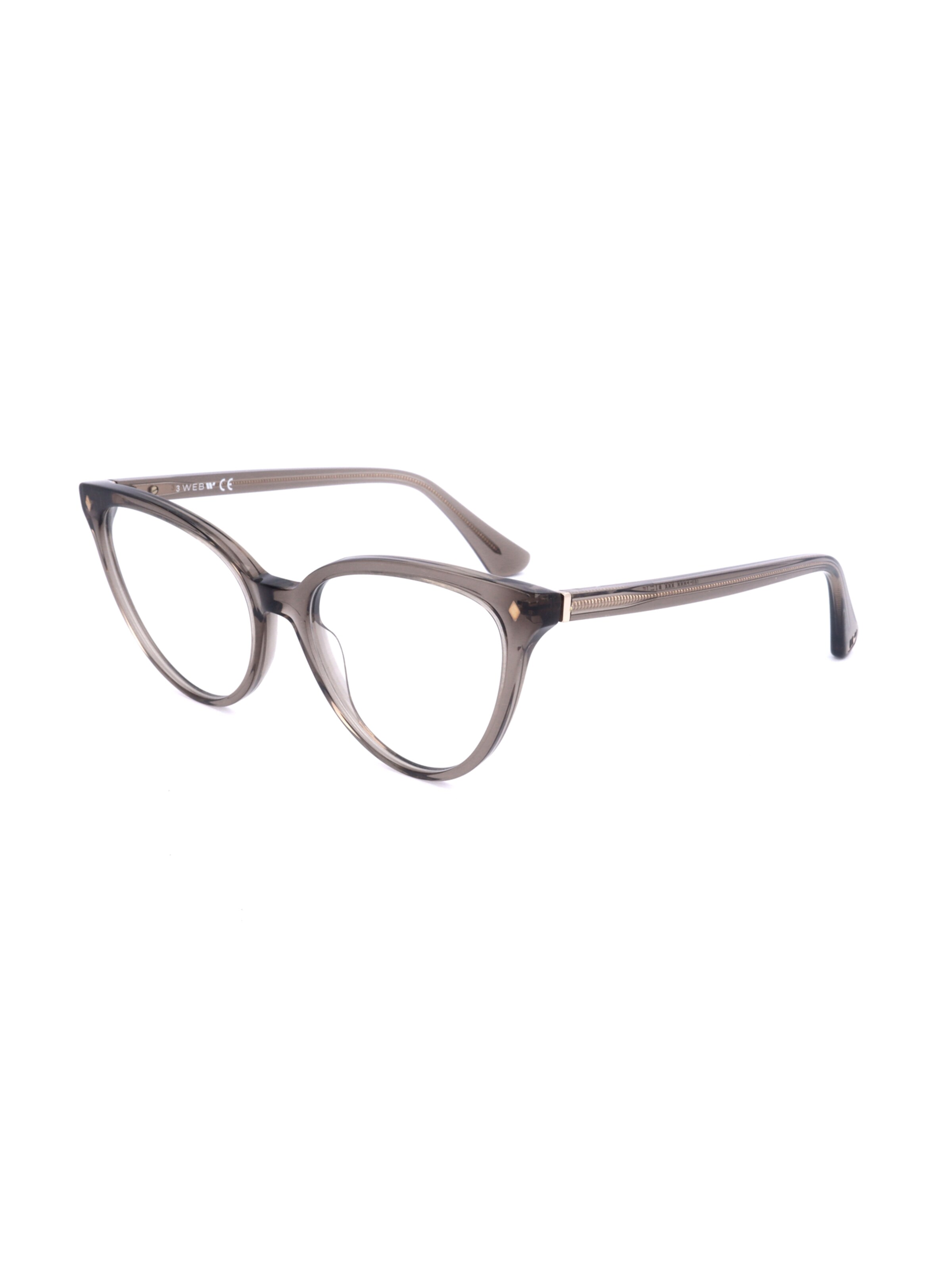 Occhiali 'WE5388' di Web Eyewear in marrone: frontale