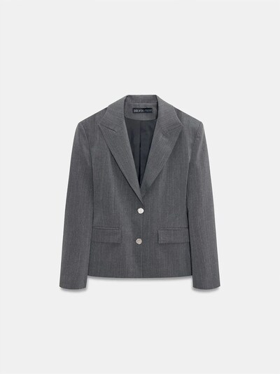 Dilvin Blazer en 40 en anthracite, Vue avec produit