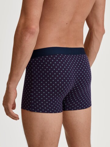 CALIDA Boxershorts 'Cotton Code Design'‌ in Lila