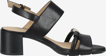 GEOX Sandalen met riem in Zwart