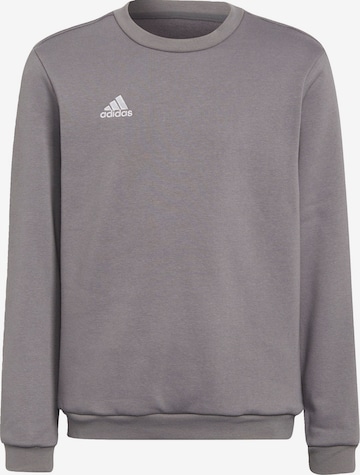 ADIDAS PERFORMANCE Sportsweatshirt 'Entrada 22' in Grau: predná strana