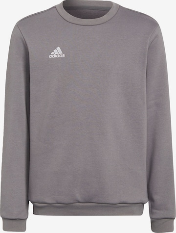 Felpa sportiva 'Entrada 22' di ADIDAS PERFORMANCE in grigio: frontale