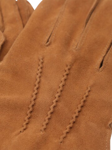 Suitable Full Finger Gloves in Brown