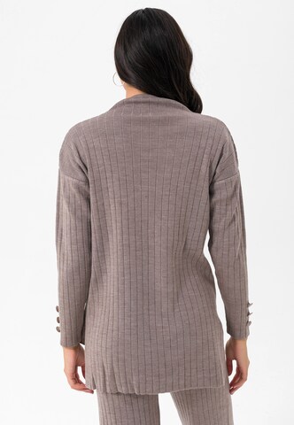 Jimmy Sanders Sweater in Brown