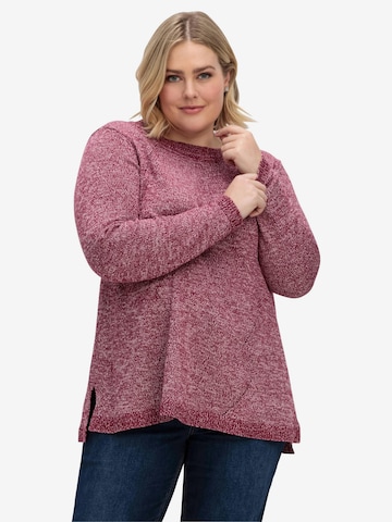 Pull-over SHEEGO en violet : devant