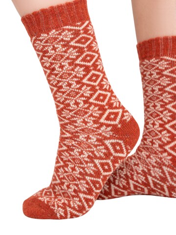 HomeOfSocks Socks 'HOS455' in Orange