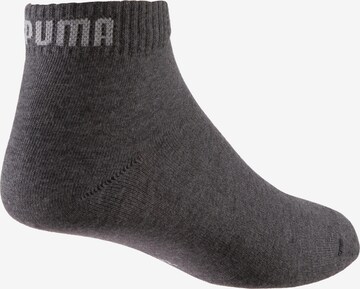 PUMA Socken in Grau