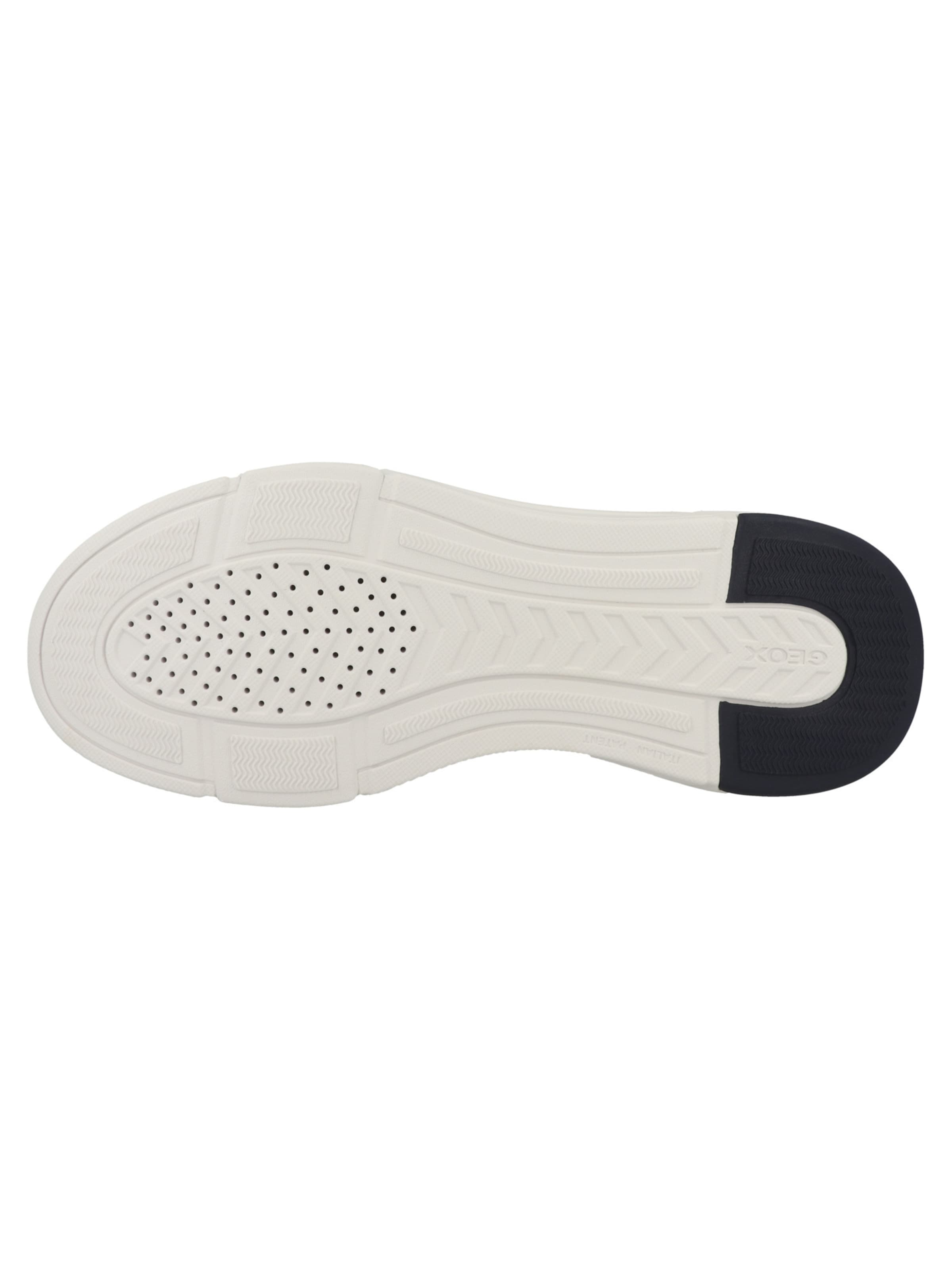 Baskets basses 'Plus A' GEOX en bleu