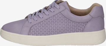 CAPRICE Sneakers in Purple