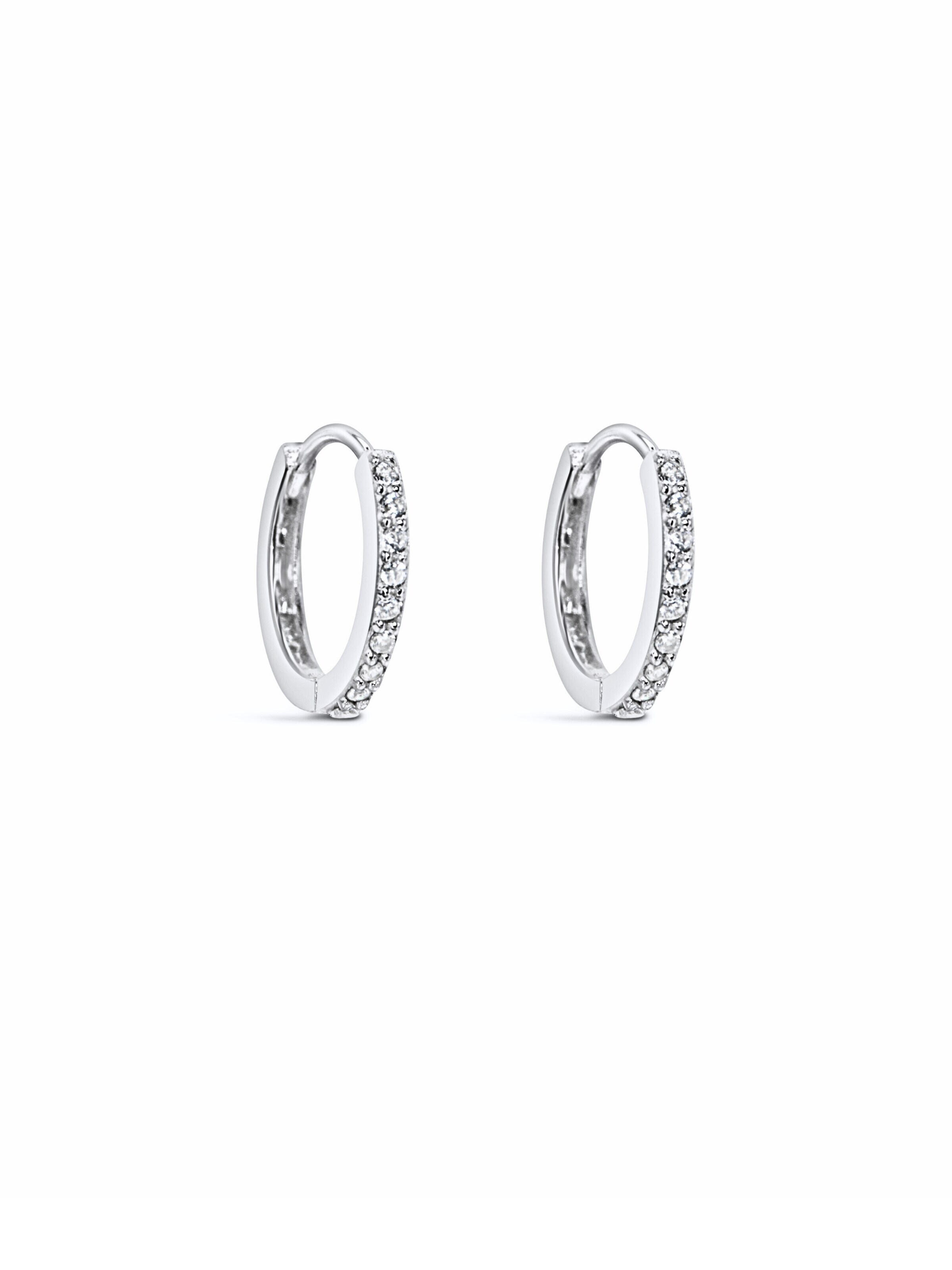 ARS-ARGENTI Earrings 'OCTANIA II Silver' in Silver