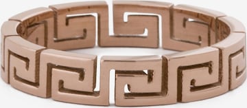 Akitsune Ring 'Argius' in Gold: front