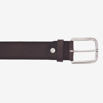 VANZETTI Belt in Brown