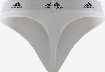 Sous-vêtements de sport ADIDAS SPORTSWEAR en blanc