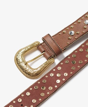 Ceinture Superdry en marron