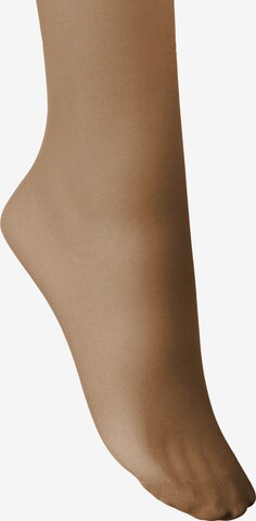Esda Fine Tights in Brown