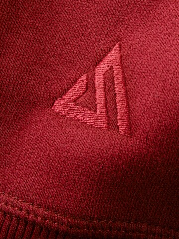 SPITZBUB Sweatshirt 'Raglan Street' in Rood