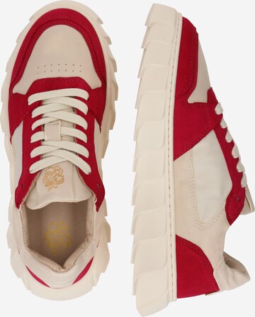 Apple of Eden Sneakers 'London' in Red