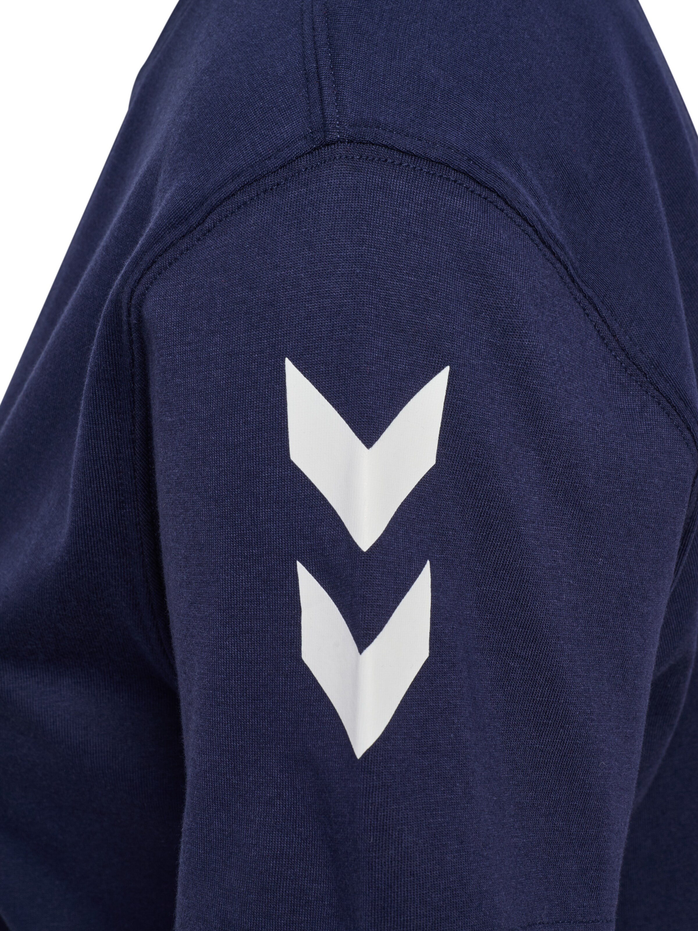 Hummel Shirt 'Go 2.0' in Blue