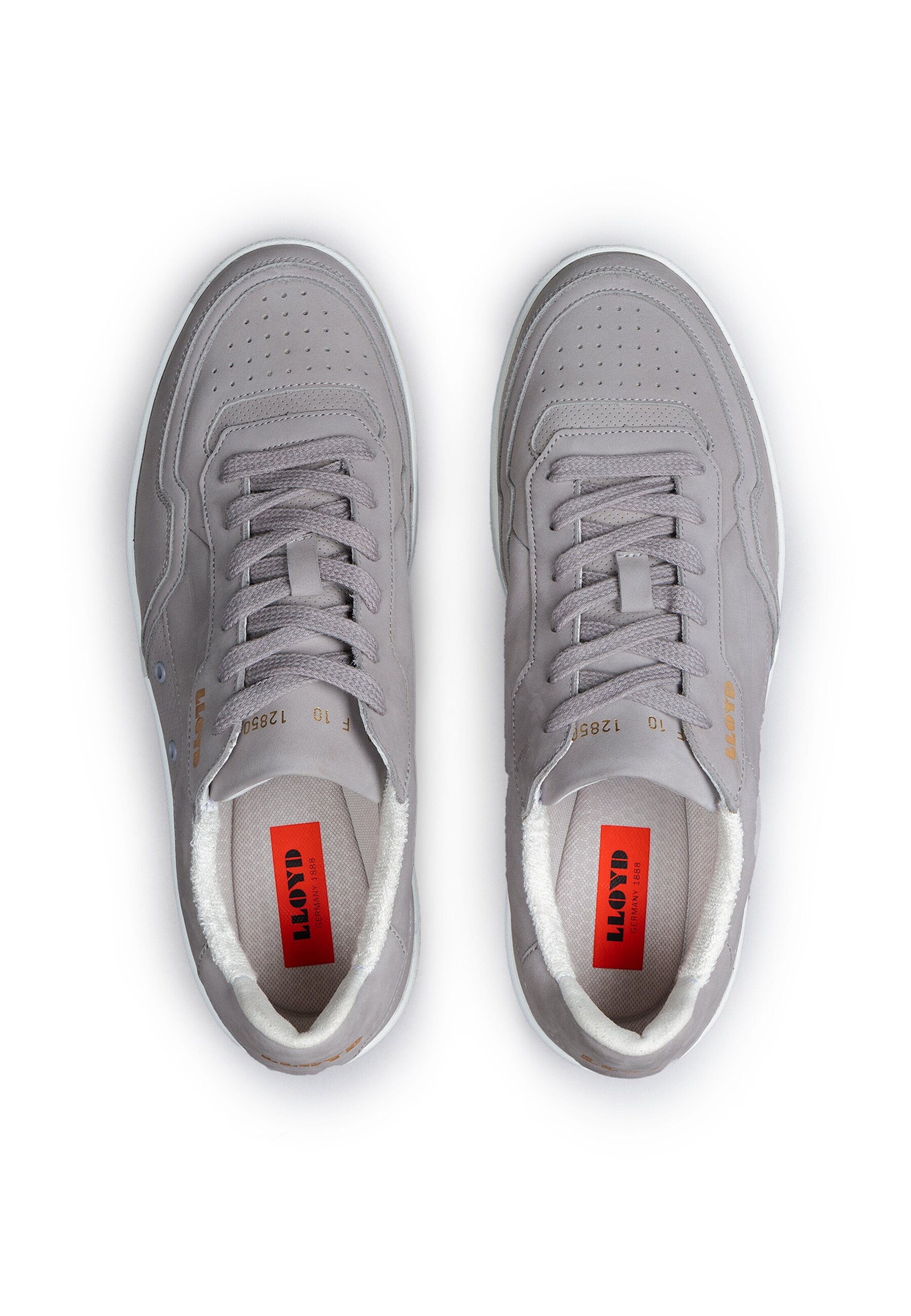 Baskets basses 'Aquila' LLOYD en gris