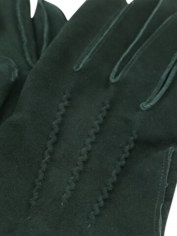 Suitable Full Finger Gloves in Green