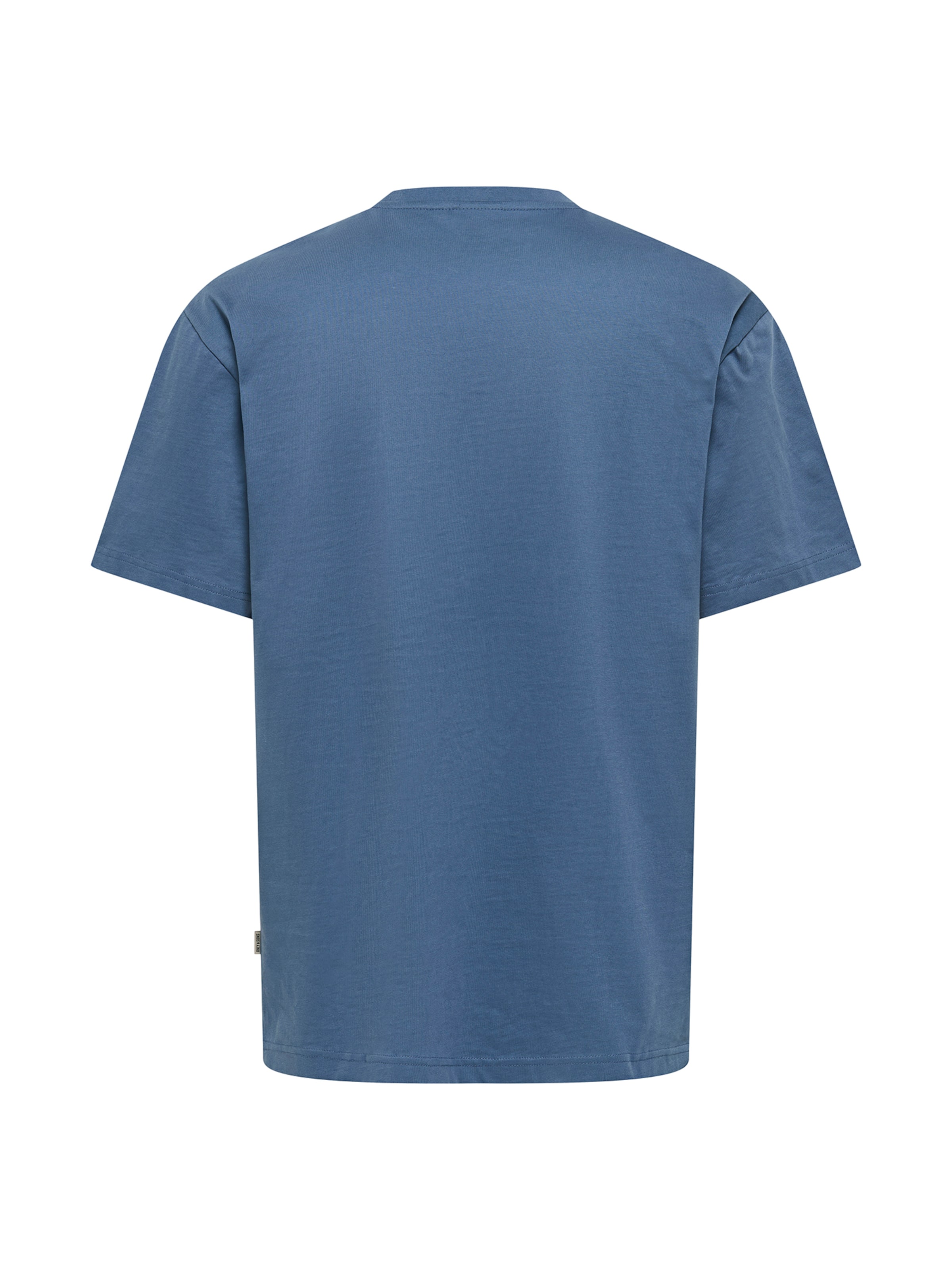 Only & Sons Shirt 'ONSFred' in Blue