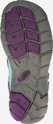 KEEN Sandals 'Seacamp 2' in Purple