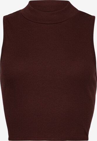 Superdry Top in Brown: front