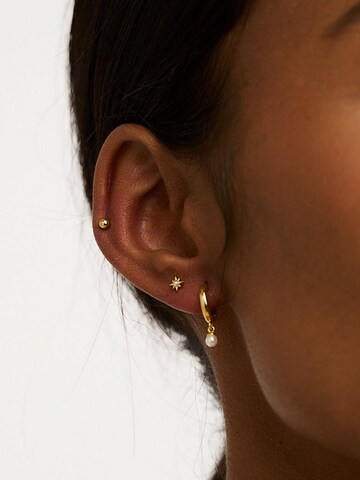 Orelia Earrings in Gold