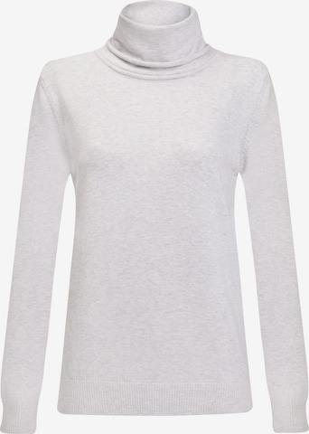 Pullover di Jimmy Sanders in grigio: frontale