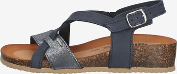 IGI&CO Strap Sandals in Blue