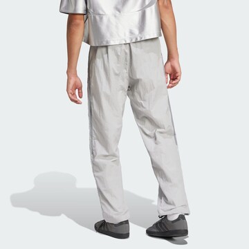 Loosefit Pantaloni 'Adicolor 2000s' di ADIDAS ORIGINALS in grigio
