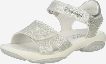 PRIMIGI Sandal in Silver: front