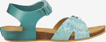Kickers Sandals in Blue