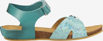 Kickers Sandale in Blau