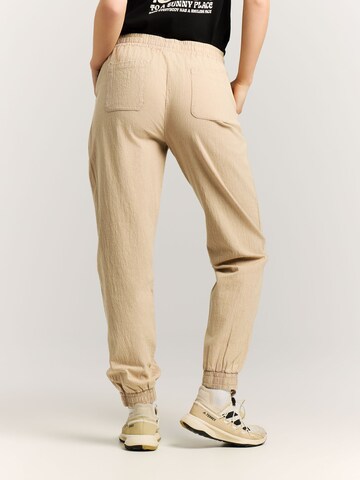 PROTEST Regular Pants 'PRTExline' in Beige
