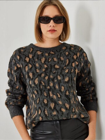 Bianco Lucci Trui in Grijs