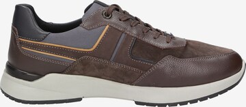 SIOUX Sneakers laag 'Lachlan' in Bruin