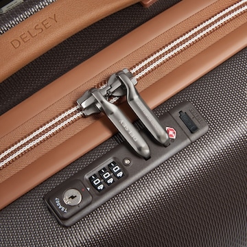 Delsey Paris Trolley in Bruin