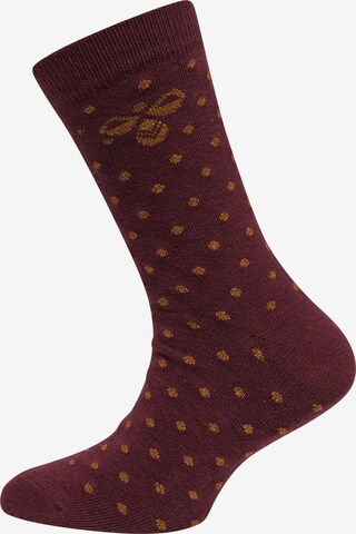 Hummel Socks 'Alfie' in Brown