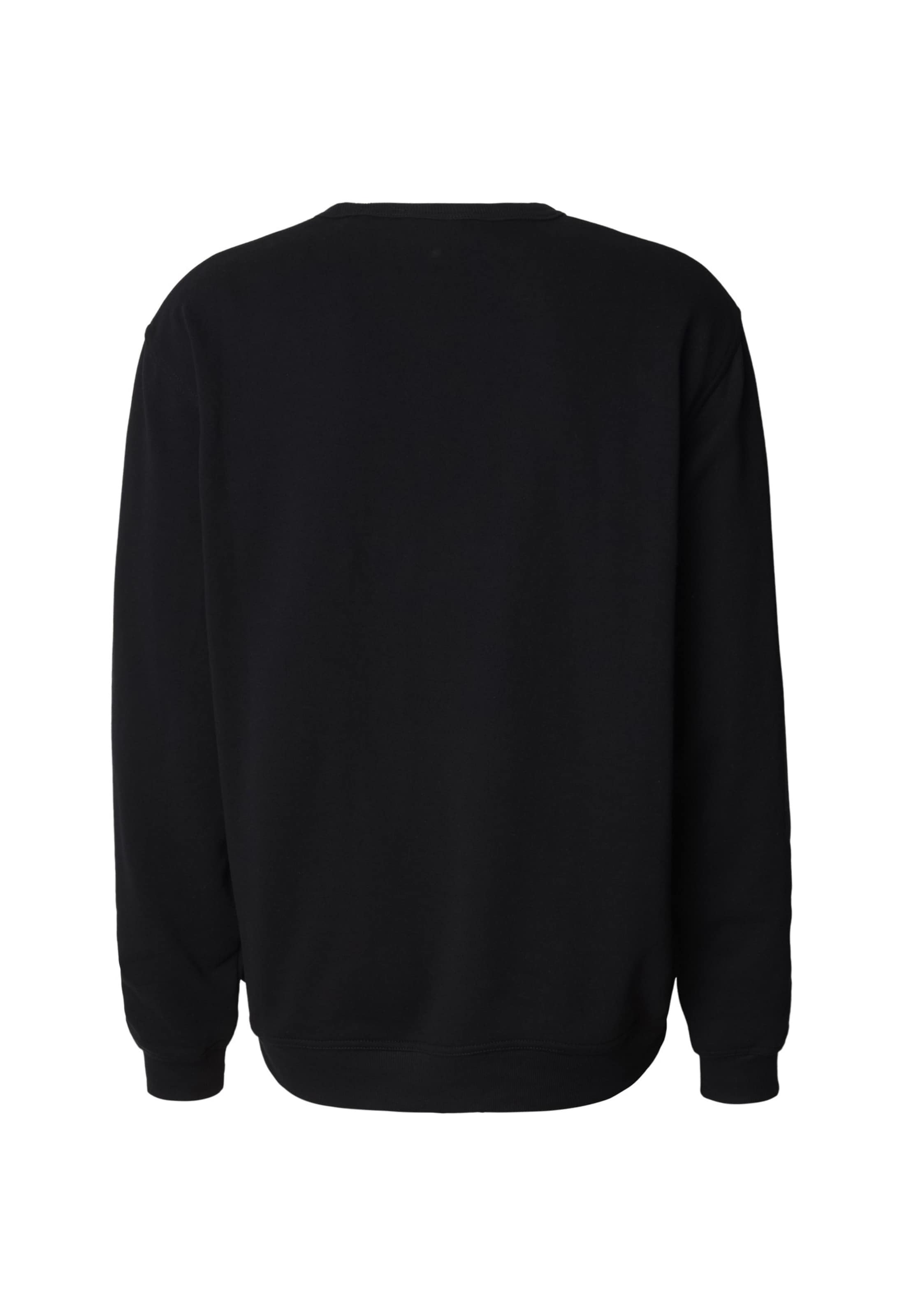 DICKIES Bluzka sportowa 'Lewistown' w kolorze czarny