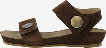 Sandalo ' CASAVA ' di Ca'Shott in marrone: frontale