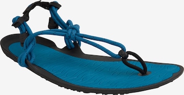 Xero Shoes T-Bar Sandals 'Aqua' in Blue: front
