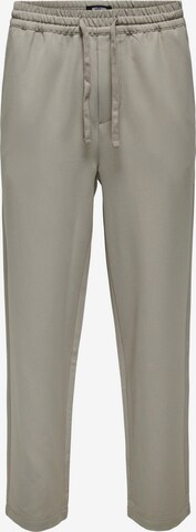 Only & Sons Pants in Grey: front