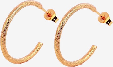 Akzent Earrings 'Danita, langlebig' in Gold: front