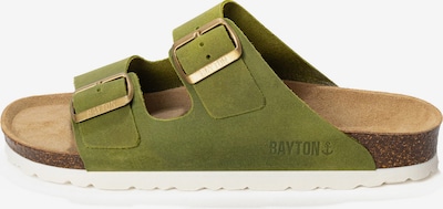 Bayton Pantofle 'Atlas' - jablko, Produkt