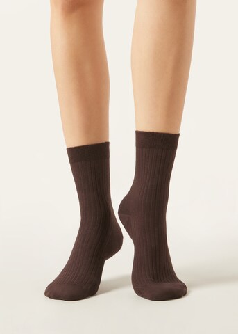 CALZEDONIA Socken in Braun: Vorderseite
