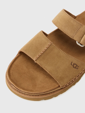 UGG Μιούλ 'GoldenGaze' σε καφέ