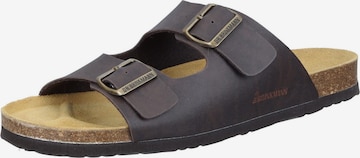 DR. BRINKMANN Pantolette 'BONILLO' in Braun: Vorderseite