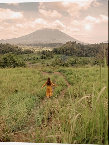 Liv Corday Image 'The Fields' in Mixed colors: front