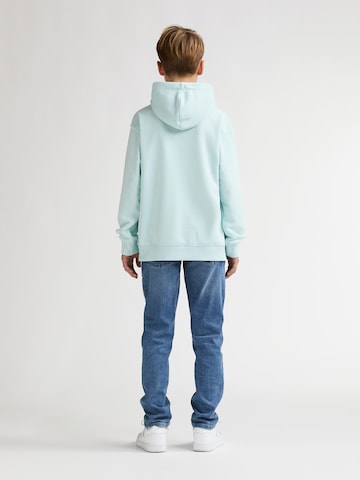 Petrol Industries Sweatshirt 'Ballena' in Groen